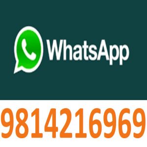 Whatsapp Number